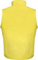 Pánska softshellová vesta Slim Result